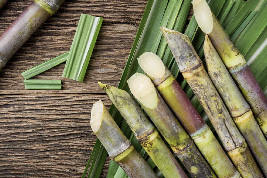 Sugar cane stalks, a form of agro waste