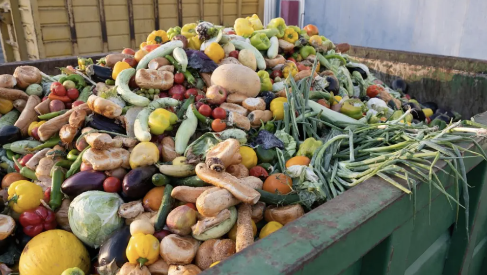 A container filled with food waste